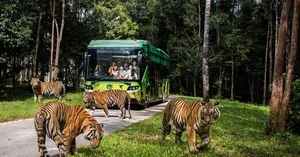 Vinpearl Safari Celebrates Success in Rare Wildlife Rescue and Breeding - image 4