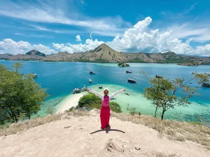 Exploring Komodo Dragons and Pink Beaches: A Vietnamese Family's Indonesian Adventure - image 9