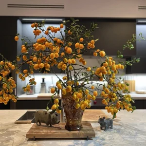 Duong My Linh’s Stunning California Garden: A Café-Style Oasis - image 8