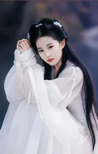 The Fascinating Background of Liu Yifei's Biological Father An Shaokang - image 7