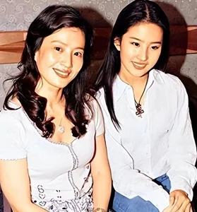 The Fascinating Background of Liu Yifei's Biological Father An Shaokang - image 8