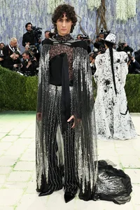 Met Gala 2026: 'Fashion is Art' Theme Brings Masterpieces to the Red Carpet - image 13