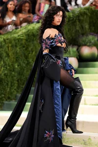Met Gala 2026: 'Fashion is Art' Theme Brings Masterpieces to the Red Carpet - image 24