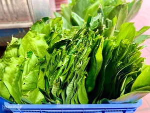 Bánh Tẻ Phú Nhi: Bí Quyết Trăm Năm Tạo Nên Đặc Sản Xứ Đoài Không Phụ Gia - image 11
