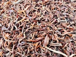 Bánh Tẻ Phú Nhi: Bí Quyết Trăm Năm Tạo Nên Đặc Sản Xứ Đoài Không Phụ Gia - image 2