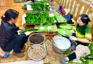 Bánh Tẻ Phú Nhi: Bí Quyết Trăm Năm Tạo Nên Đặc Sản Xứ Đoài Không Phụ Gia - image 10
