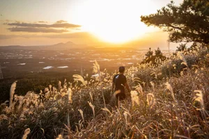 The Rise of Marathon Tourism: Why Travelers are Investing in Running Tours - image 4