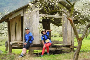 The Rise of Marathon Tourism: Why Travelers are Investing in Running Tours - image 5
