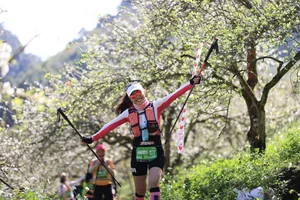 The Rise of Marathon Tourism: Why Travelers are Investing in Running Tours - image 0