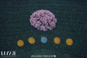 Angelababy Captivates Fans with Ethereal and Poetic New Visuals - image 12