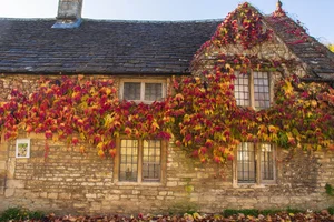 Capturing the Golden Splendor of Autumn Across the United Kingdom’s Most Iconic Landscapes - image 11