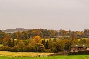 Capturing the Golden Splendor of Autumn Across the United Kingdom’s Most Iconic Landscapes - image 9