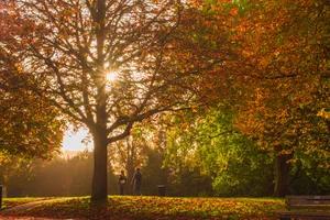 Capturing the Golden Splendor of Autumn Across the United Kingdom’s Most Iconic Landscapes - image 2