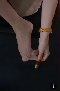 IESS Pu Hui Series 137 Xiao Jie's Meat Silk Aesthetic Gallery - image 3