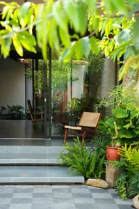 CT House in Phu Yen: A Green Architectural Marvel Reminiscent of Traditional Countryside Living - image 3