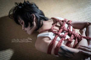 The Art of Shibari: Exploring the Beauty and Complexity of Traditional Japanese Rope Bondage - image 37