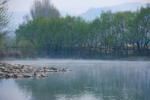 Timeless Elegance of Yi Ming in Art Language Vol.8869 - A Poetic Riverside Muse - image 8