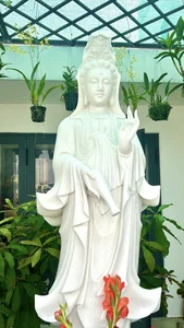 Vietnamese Actor From Cong Mat Troi Shares Stunning Rooftop Garden and Single Life at 41 - image 12