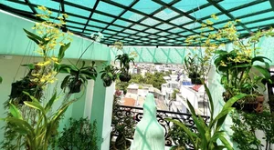 Vietnamese Actor From Cong Mat Troi Shares Stunning Rooftop Garden and Single Life at 41 - image 18