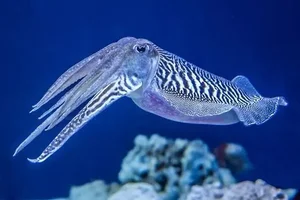 Incredible Animals with Mind-Blowing Superpowers That Will Amaze You - image 5