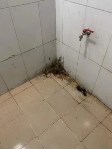 The Shocking Reality Behind the Glamour: Messy Rental Room Scandal of Viral Students - image 7
