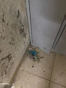The Shocking Reality Behind the Glamour: Messy Rental Room Scandal of Viral Students - image 6