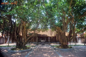 Preserving the Sacred: Exploring the Original Architecture of Vietnam's Most Ancient Pagodas - image 7