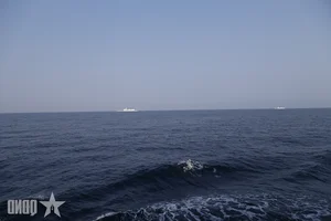 Vietnam and China Navies Complete Successful Joint Patrol and Training - image 9