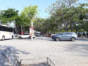 One-Day Saigon to Phuoc Hai Road Trip Guide: The Ultimate Quick Escape - image 12