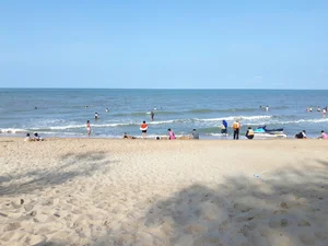 One-Day Saigon to Phuoc Hai Road Trip Guide: The Ultimate Quick Escape - image 7