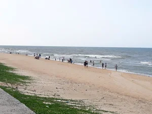 One-Day Saigon to Phuoc Hai Road Trip Guide: The Ultimate Quick Escape - image 4