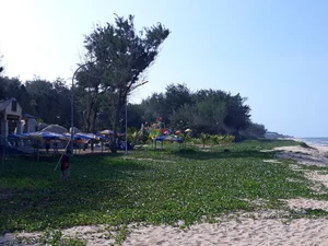 One-Day Saigon to Phuoc Hai Road Trip Guide: The Ultimate Quick Escape - image 3