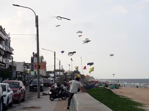 One-Day Saigon to Phuoc Hai Road Trip Guide: The Ultimate Quick Escape - image 11