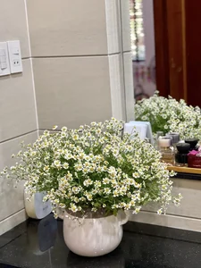 Inside Actress Van Trang’s Dreamy Flower-Filled Villa - image 2
