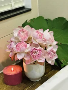 Inside Actress Van Trang’s Dreamy Flower-Filled Villa - image 13