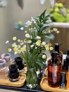 Inside Actress Van Trang’s Dreamy Flower-Filled Villa - image 0