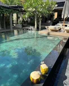 Vietnamese Stars Celebrate Tet Abroad: Chi Pu in Australia, Thao Nhi Le Travels in Style - image 1