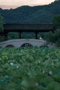 YiTuYu Art Language Vol. 7742: Capturing the Essence of Yi Yi - image 13