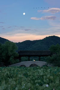 YiTuYu Art Language Vol. 7742: Capturing the Essence of Yi Yi - image 4