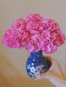 Inside MC Diep Chi's Floral Sanctuary: A Masterclass in Home Decor and Serenity - image 15