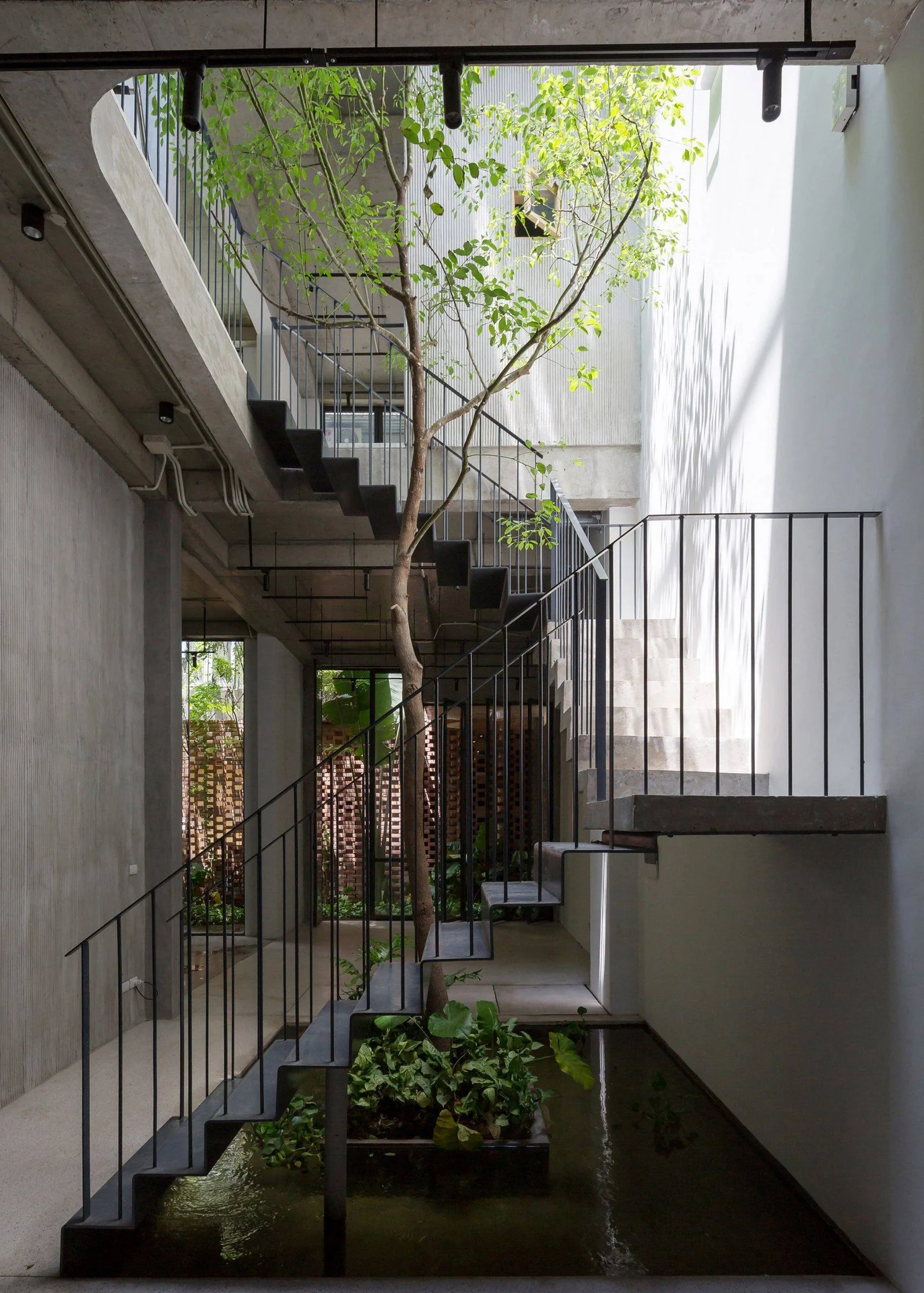 40 Stunning Ideas for Indoor Trees Under Glass Skylights