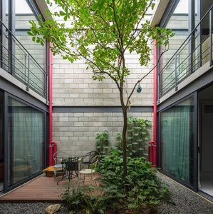 40 Stunning Ideas for Indoor Trees Under Glass Skylights - image 29