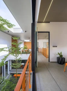 40 Stunning Ideas for Indoor Trees Under Glass Skylights - image 24