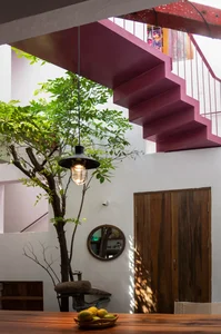 40 Stunning Ideas for Indoor Trees Under Glass Skylights - image 28