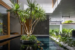 40 Stunning Ideas for Indoor Trees Under Glass Skylights - image 15