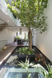 40 Stunning Ideas for Indoor Trees Under Glass Skylights - image 34