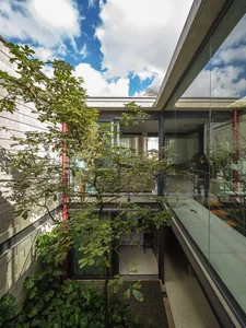 40 Stunning Ideas for Indoor Trees Under Glass Skylights - image 27