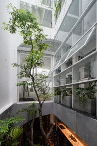 40 Stunning Ideas for Indoor Trees Under Glass Skylights - image 6