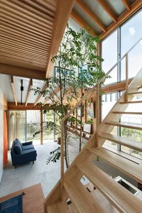 40 Stunning Ideas for Indoor Trees Under Glass Skylights - image 9