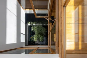 40 Stunning Ideas for Indoor Trees Under Glass Skylights - image 18